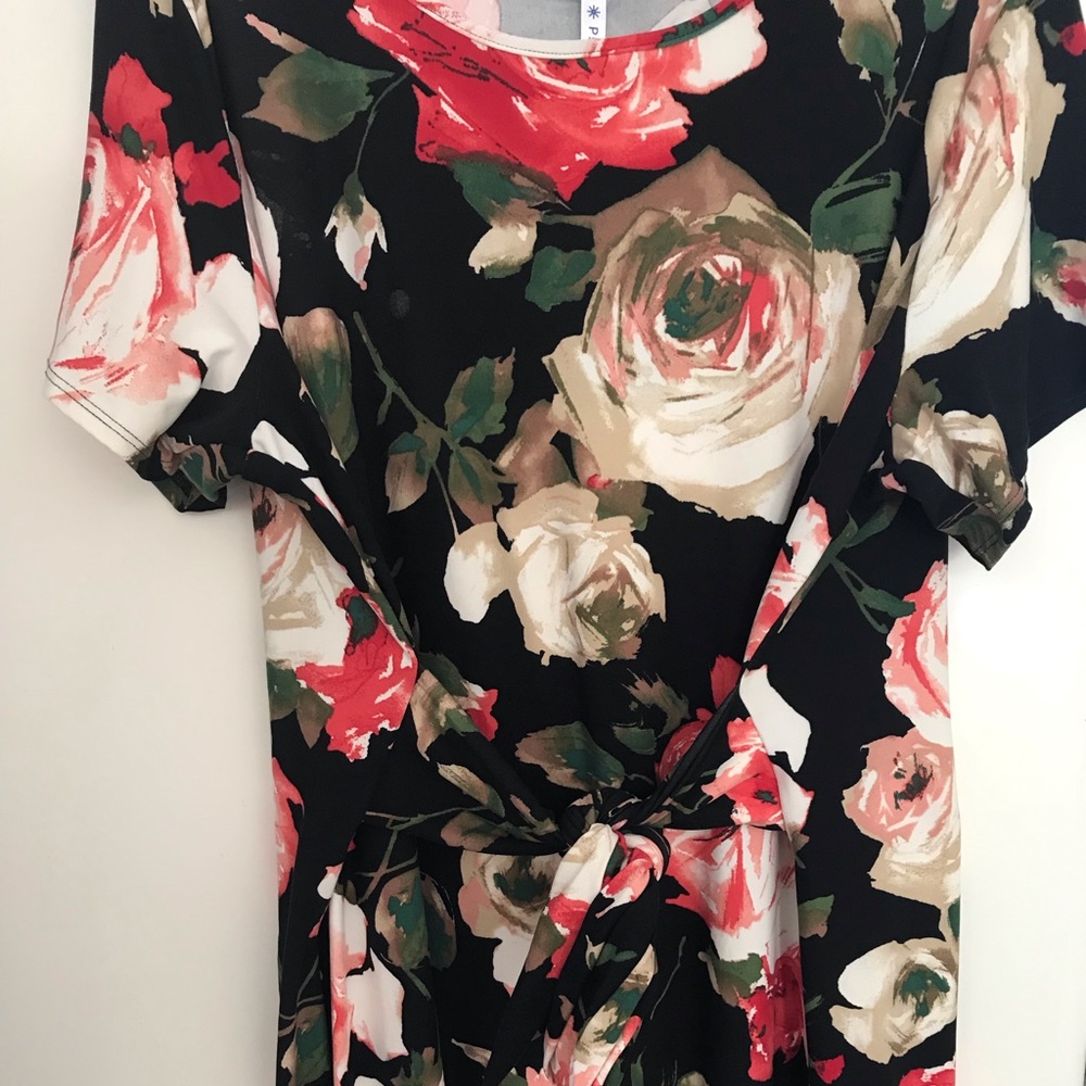 3x Piphany dress NWT
